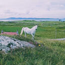 Eriskay
