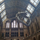 Natural History
